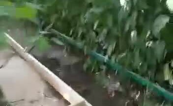 Строительство завершения дачного домика