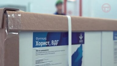 Шатры на День поля в Уссурийске для компании Шанс