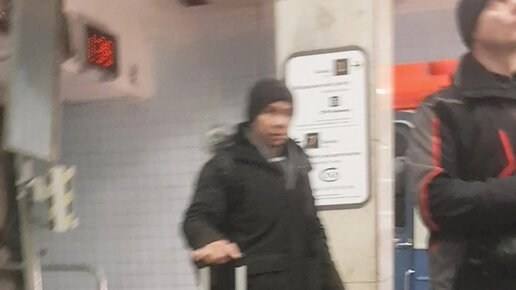 Brigitta Bolgariya porno aktrisasi