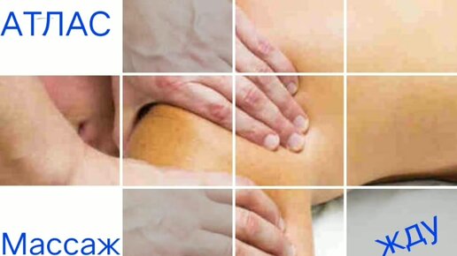 Жылқы мен қыз секс АҚШ онлайн