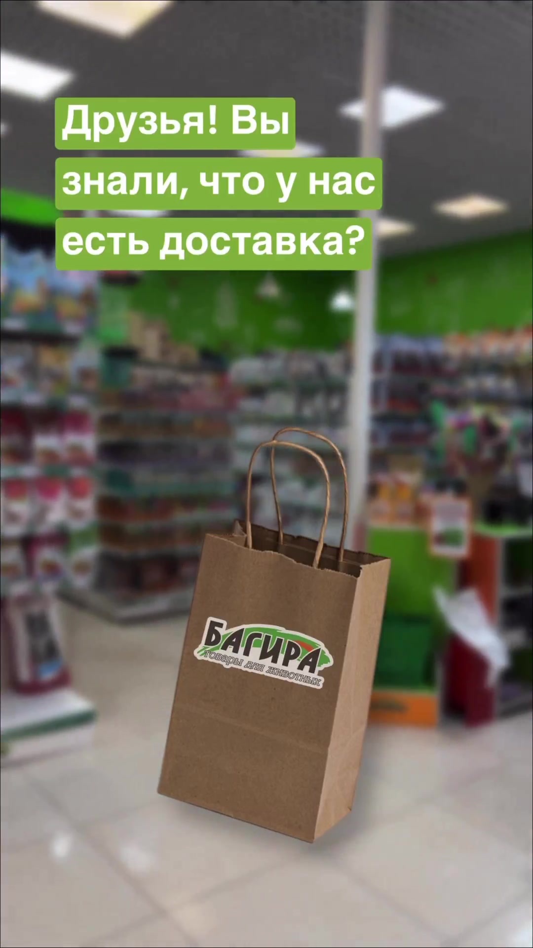 Bagira, veterinary pharmacy, Феодосия, бульвар Старшинова, 12Е — Yandex Maps