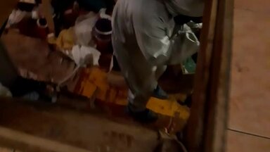 Дезинсекция в подполе дома