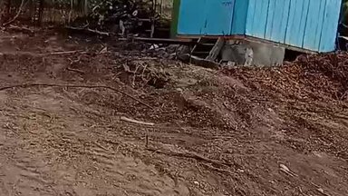 Видео о моей работе #39