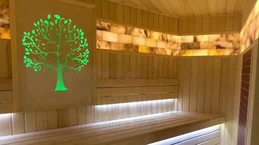 Yotoqxonada jinsiy aloqa rasmlari