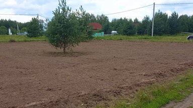 Превращение участка в стильнйгазон