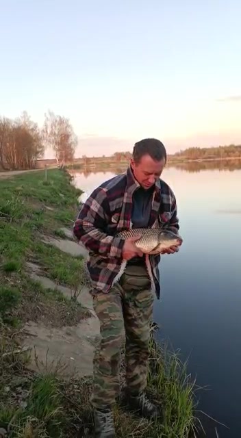 Озеро Стекло Волоколамский район: информация о рыбалке, прогноз поклевок и места для ловли