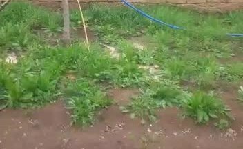 Скважина в Михайловке