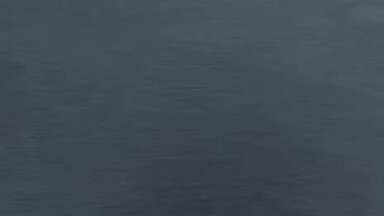 Пошив футболок с нанесением термотрансферов