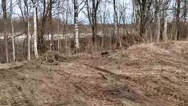 Корчевка и выравнивание участка