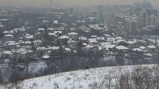 Ол менің мүшемді алақанына алды