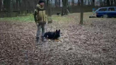 О себе
