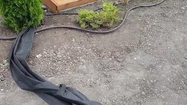 Одна из наших работ