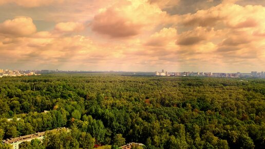 Порно: Көйлегін көтеріп, желіде трахты