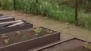 Установка и сборка грядок из ДПК