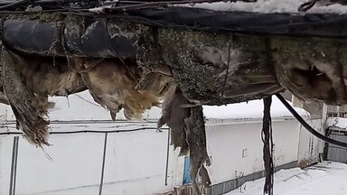 Разморозка отопления труб