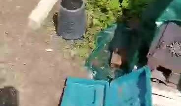 Видео о моей работе #26