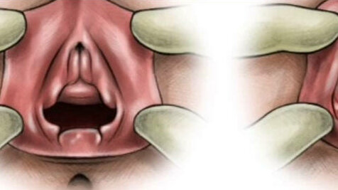 Ajoyib jinsiy aloqa video