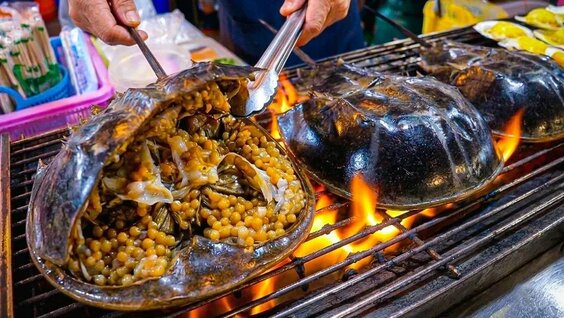 о боже мой! Самые странные морепродукты на свете? Уникальные и редкие блюда из морепроду...