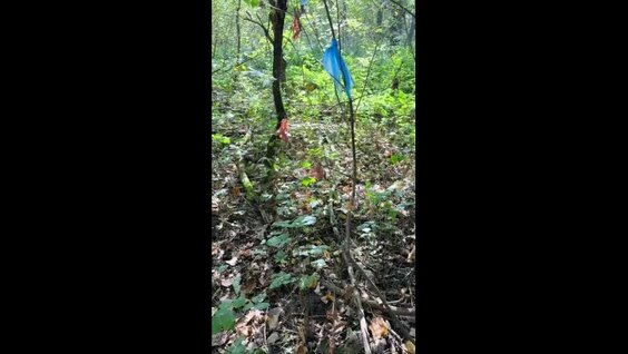 Видео от Рыбак Башкирии Рыбалка Башкортостан Уфа — Видео от Рыбак Башкирии Рыбалка...