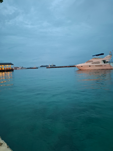 Гостиница The Grand View