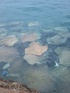 Гостиница The Grand View