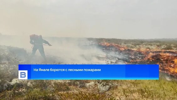 На Ямале борются с лесными пожарами — Видео от Вести