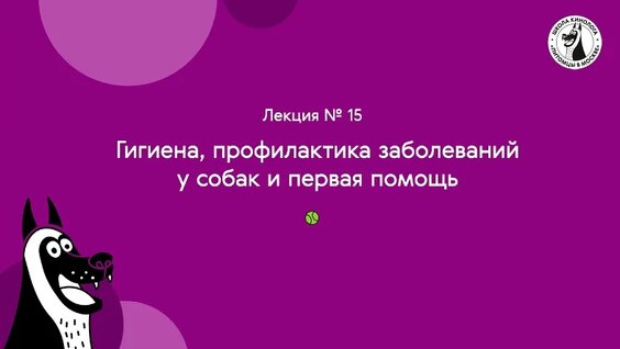 Школа кинолога. Лекция № 15. Гигиена, профилактика заболеваний у собак и первая помощь…