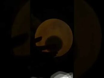 Видео №9 (Светлячок)