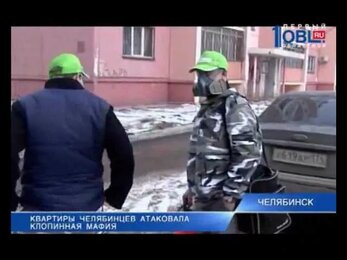 Клопы. Нашествие. Новости ОТВ. SpasiDom.ru