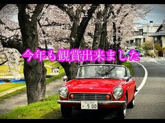 【Honda S500】春色の季節がきました