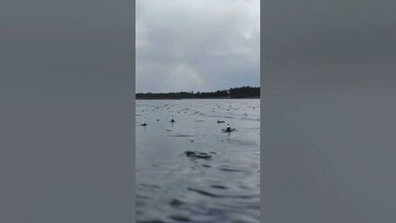 дождь на реке Ахтуба