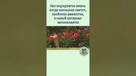 А какое у вас настроение в такие дни? #егэ#история#историяроссии#школа#подготовкакегэ