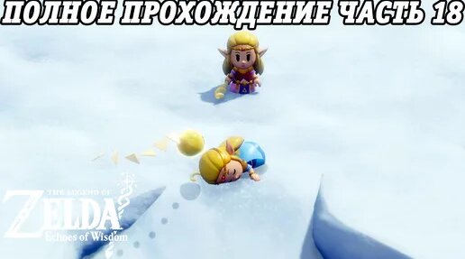 The Legend of Zelda Echoes of Wisdom Nintendo Switch Полное