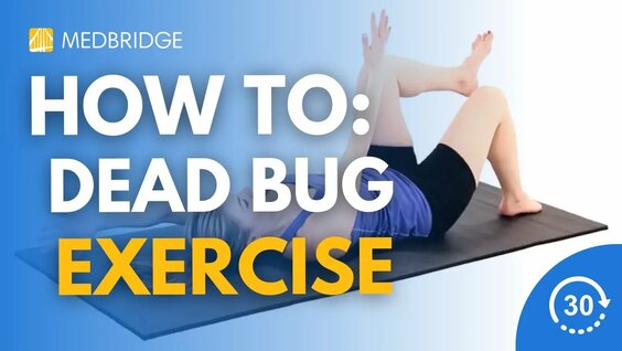 How to Do a Dead Bug Exercise | 30 Seconds | Physical Therapy ...