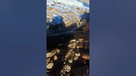 Осень в Орджоникидзе