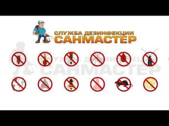 Дезслужба Санмастер-уничтожение насекомых, грызунов, дезинфекция и удаление неприятных запахов