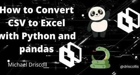 convert csv to excel with python: 990 video Yandex'te bulundu