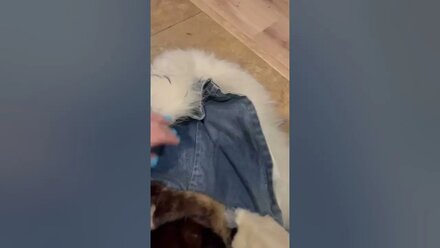 Внутрянка куртки