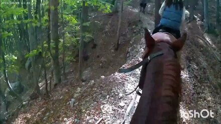 Конный клуб 🐎Красный Камень🐎