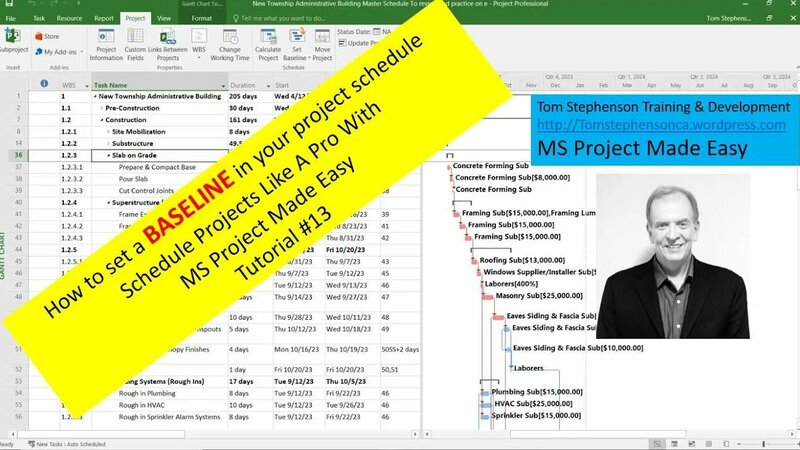 How to set a Baseline in your MS Project Schedule. Tutorial #13 ...