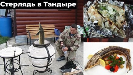 Стерлядь в Тандыре. Как приготовить рыбу в Тандыре?