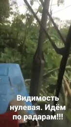 Покос борщевика на запущенном участке