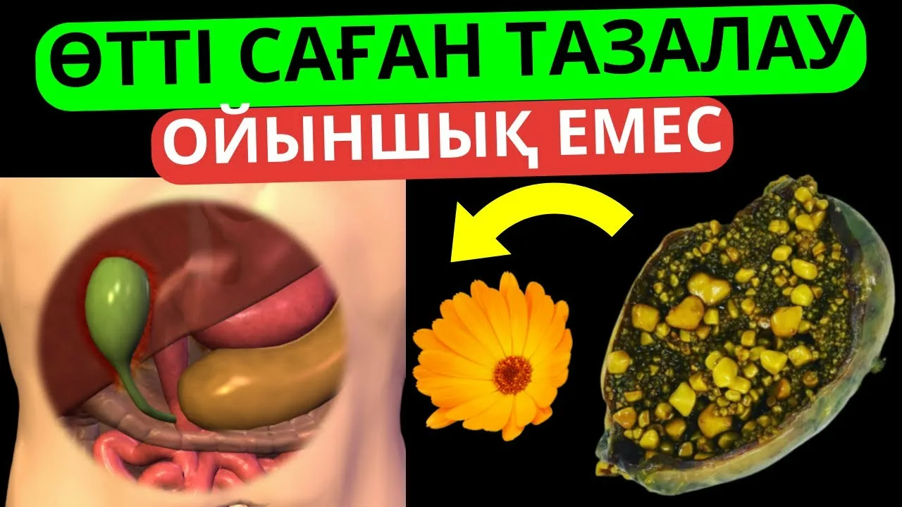 Ережесіз күлкі фильмінен жалаңаш қыздар