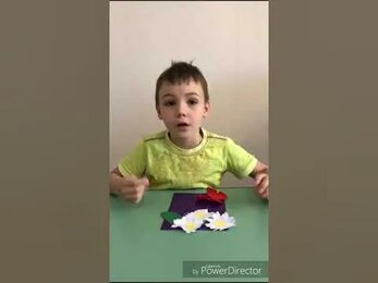 Что такое семья?