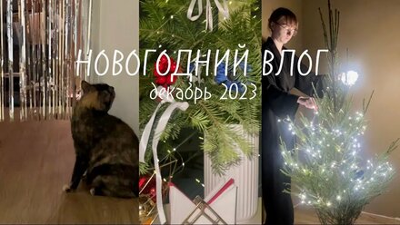 НОВОГОДНИЙ ВЛОГ❄️ уборка и украшение дома к празднику, упаковка подарков, выбор посуды в Максидоме