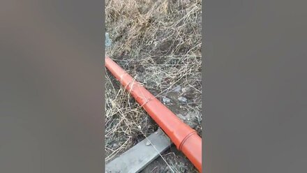 посоветуйте!