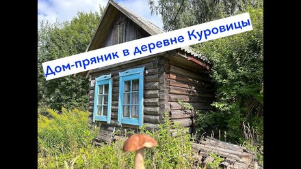 Участок 10 соток в деревне Куровицы и дом пряник 1900 года