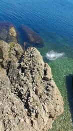 уютные бухты для дайвинга #дайвинг #море #scubadiving #scuba #travel