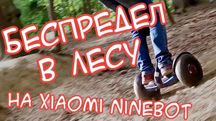 Экстрим по лесу на Ninebot Mini