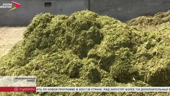 Районы Северной Осетии заготавливают корма на зиму — Видео от iRYSTONTV